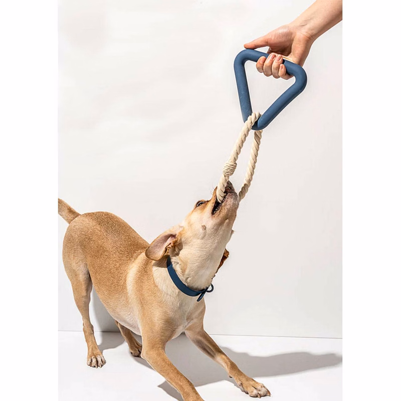 Custom Dog Rubber Triangle Tug Toy