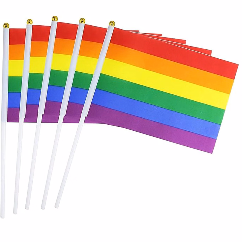 Hand Held Rainbow Flag