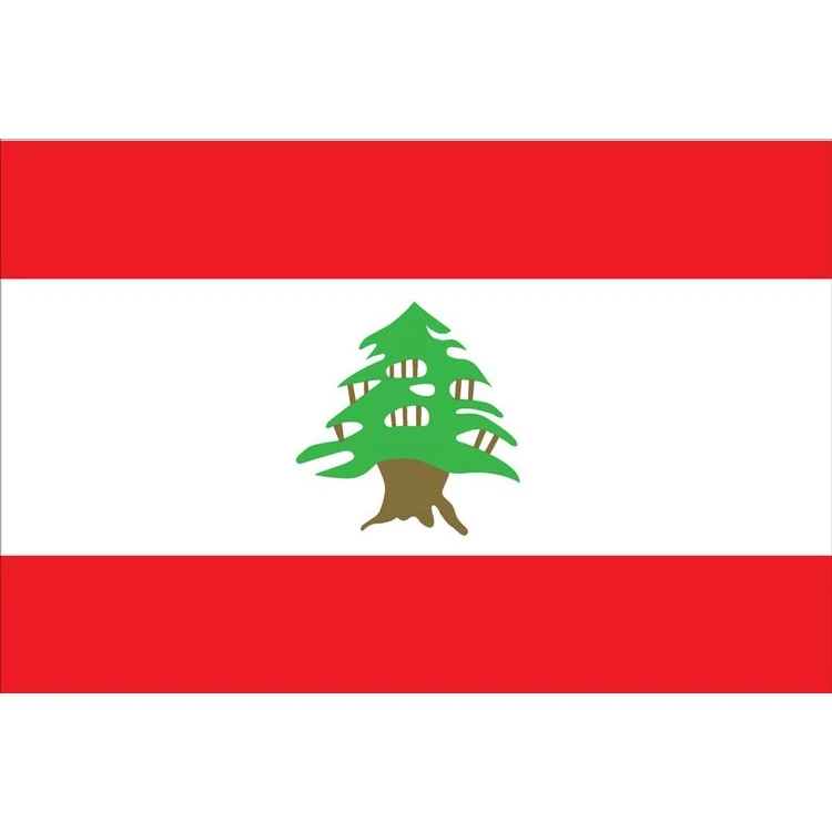 Lebanon Flag - 4' x 6' - Nylon 1