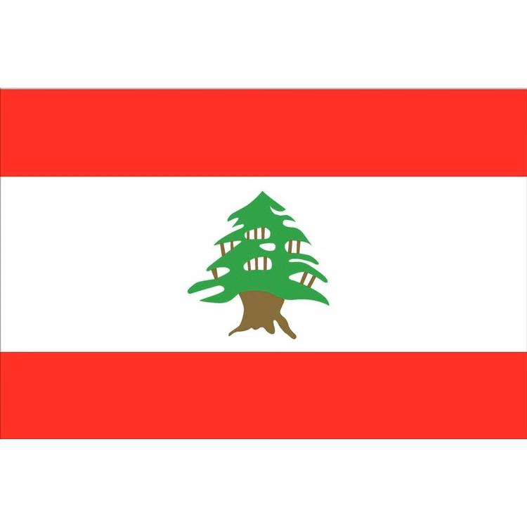 Lebanon Flag - 3' x 5' - Nylon