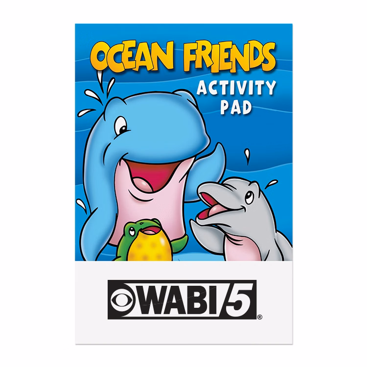 Ocean Friends Activity Pad