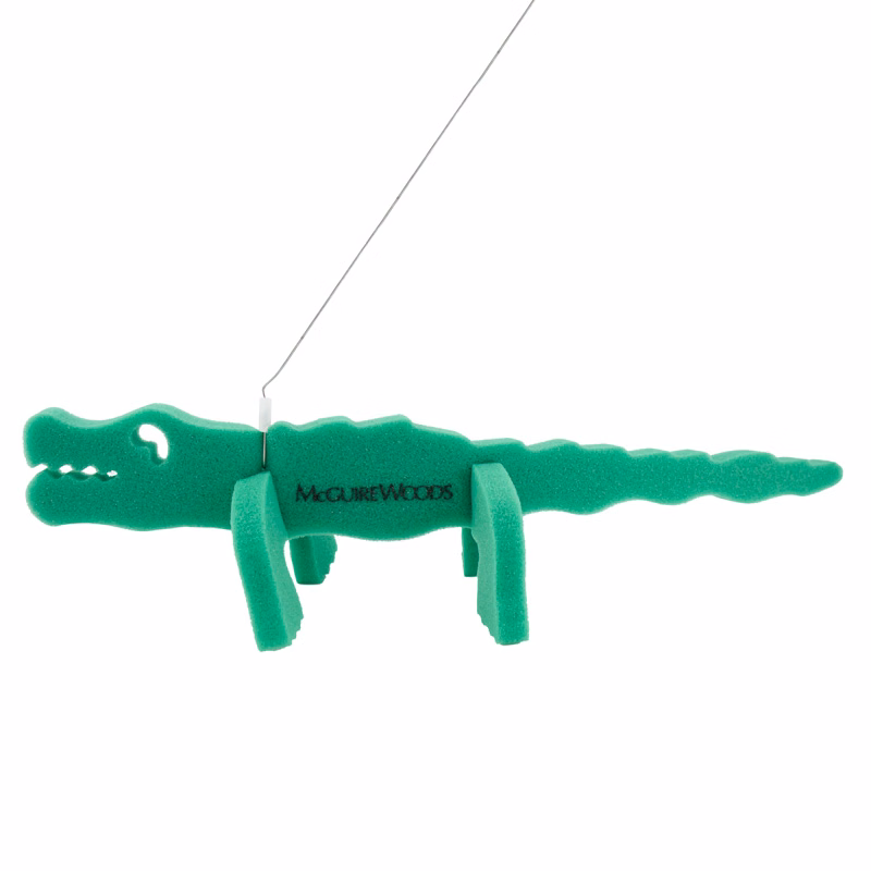 Alligator on a leash