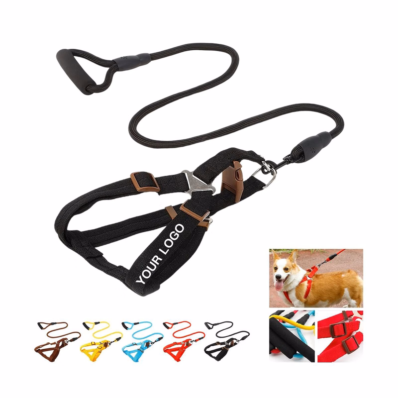 Lightweight Nylon Reflective Pet Leash