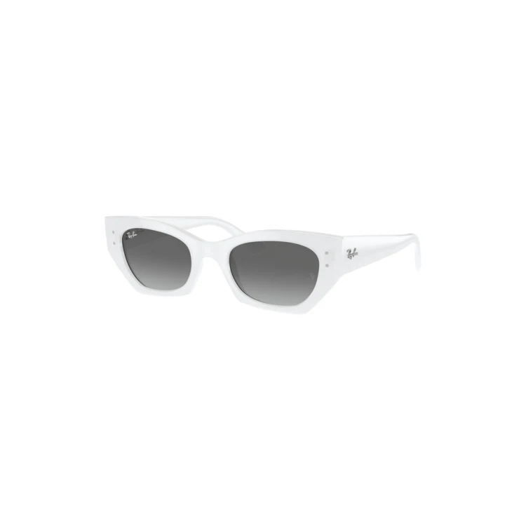 Ray-Ban Zena Bio-Based Sunglasses 1