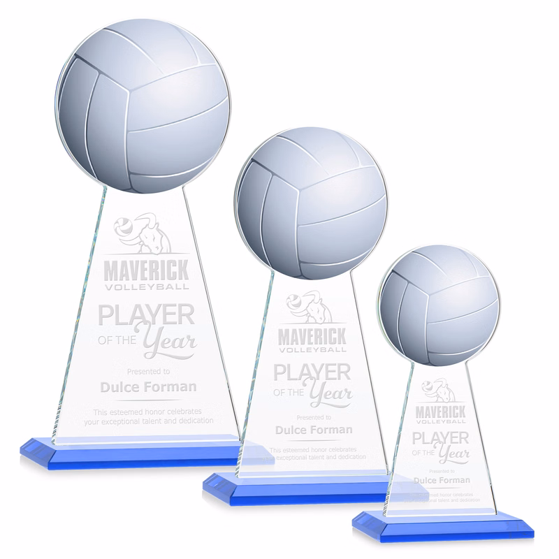 Edenwood Volleyball Award - Sky Blue