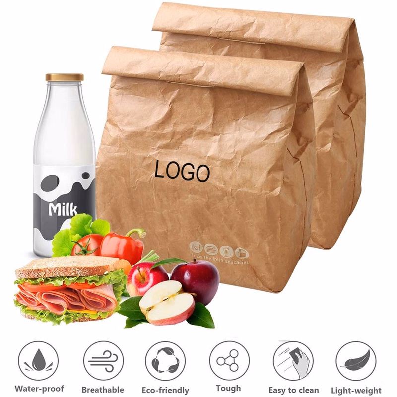 Tyvek Retro Lunch Sacks Bag