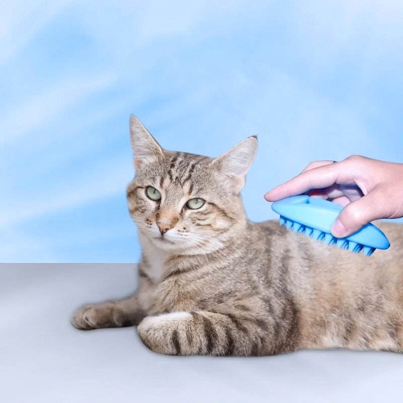 Soft Pet Massage Comb