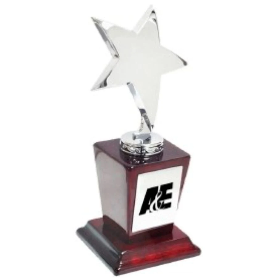 7 1/2" Silver Star w/Rosewood Piano Finish Base Trophy 1