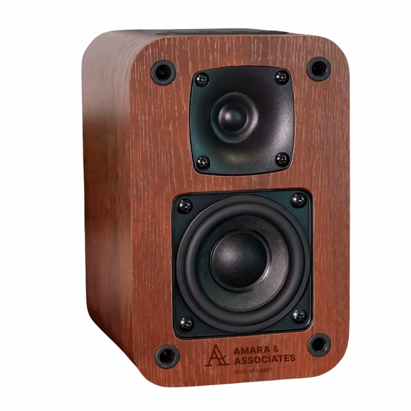40W Record Player Speakers