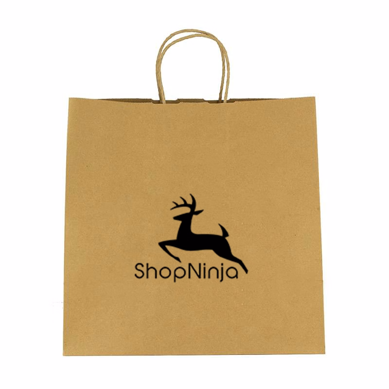 Kraft Paper Brown Shopping Bag - 10" x 10"