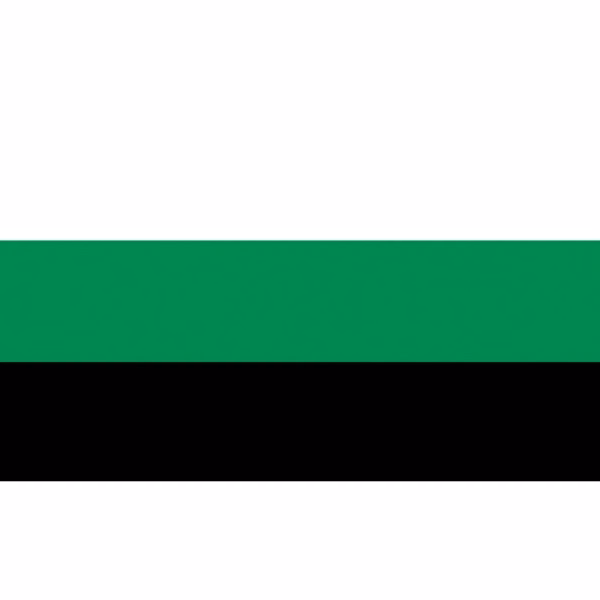 Neutrois Premium Car Flag