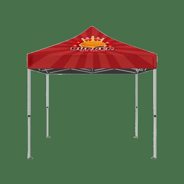 IMPORT 10' x 10' Canopy Package 1