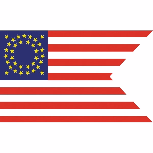 Special Historical Flags - Cavalry Guidon