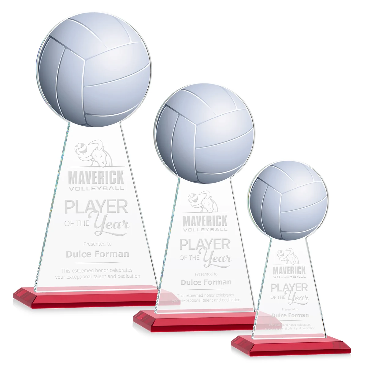 Edenwood Volleyball Award - Red 1