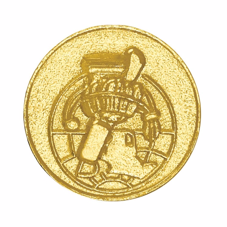 Scholastic Bright Gold Chenille Lapel Pin