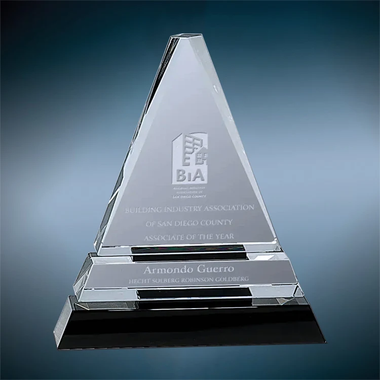 Bristol Crystal Award 1
