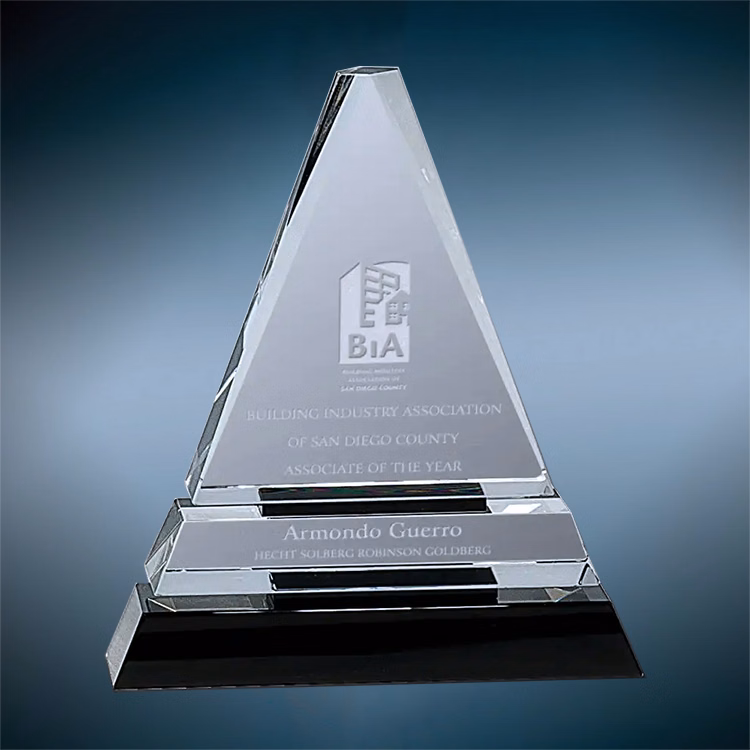 Bristol Crystal Award