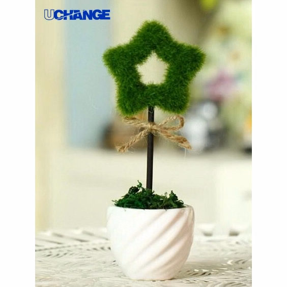 Hollow Star Decorative Table Plant for Indoor Desk & Home Decor