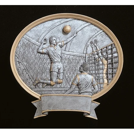 Volleyball Male Legend Plate 1