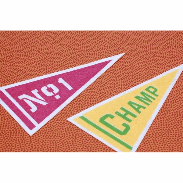 12" x 30" Wool Felt Pennant with Wood Pole - Class E