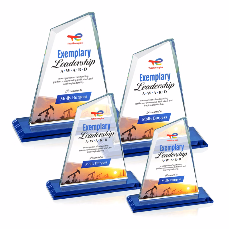 Summit VividPrint™ Award - Blue
