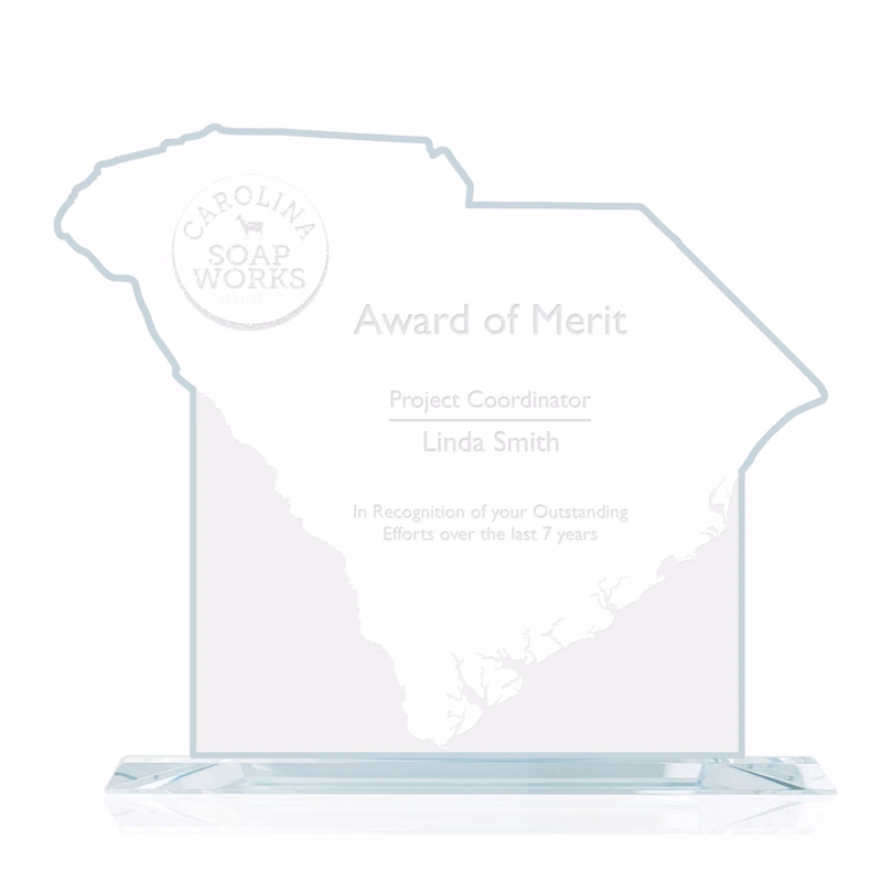 State Map Award - South Carolina