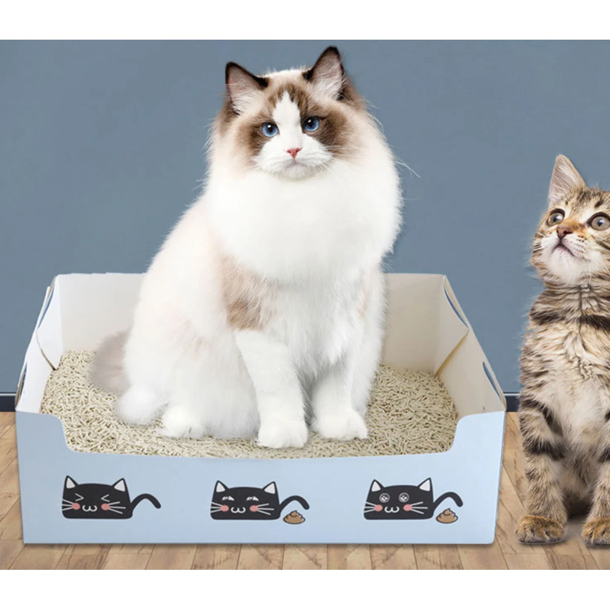 Disposable Foldable Cat Litter Box 1