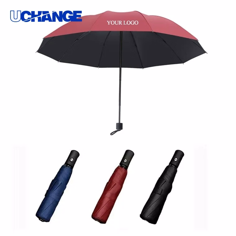 10 Bone Auto Open Folding Umbrella for Rain