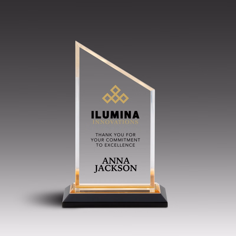 MirrorPeak Award (4"x6"x1")