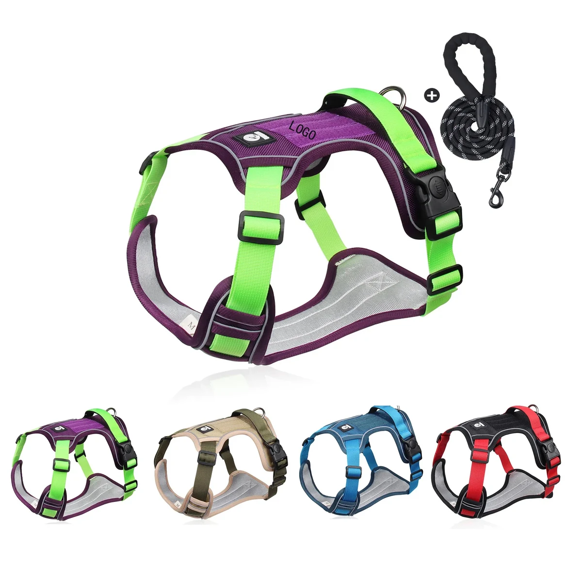 Dog Leash 1
