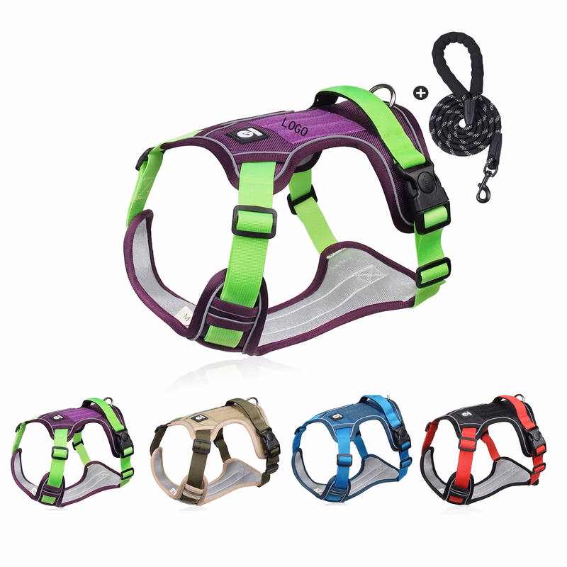 Dog Leash