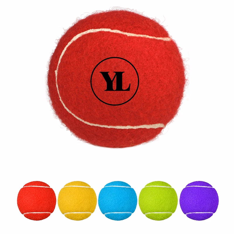 Dog Training Toy Tennis Ball
