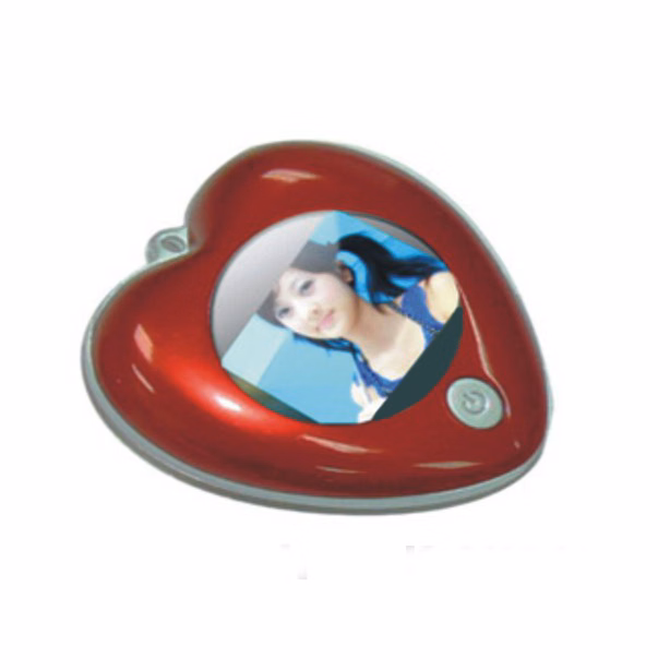 RSX21 Digital Photo Frame