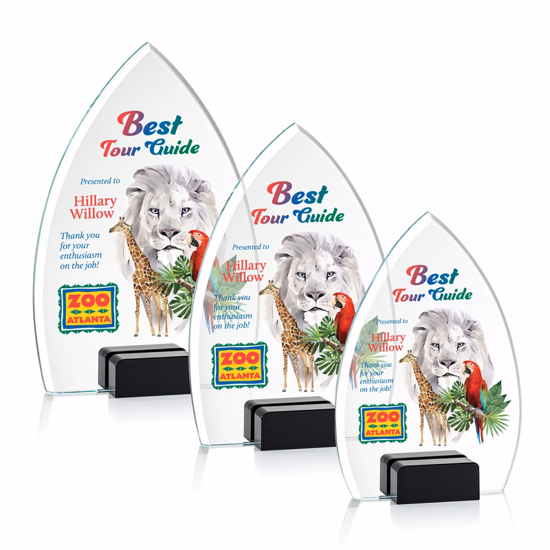 Aylin VividPrint™ Award - Black