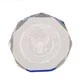 6" Blue Octagon Acrylic Award 1