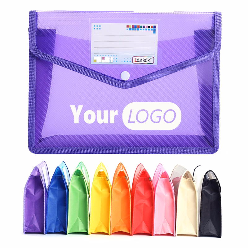 Clear-View Protective Sheet Storage Folders