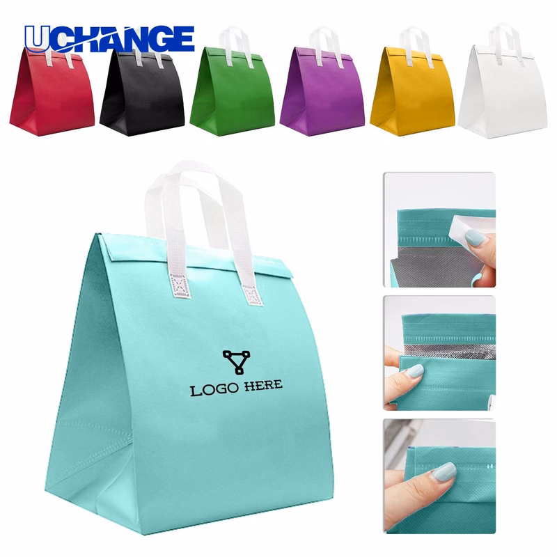 Non-Woven Insulated Lunch Tote Bag Organizer