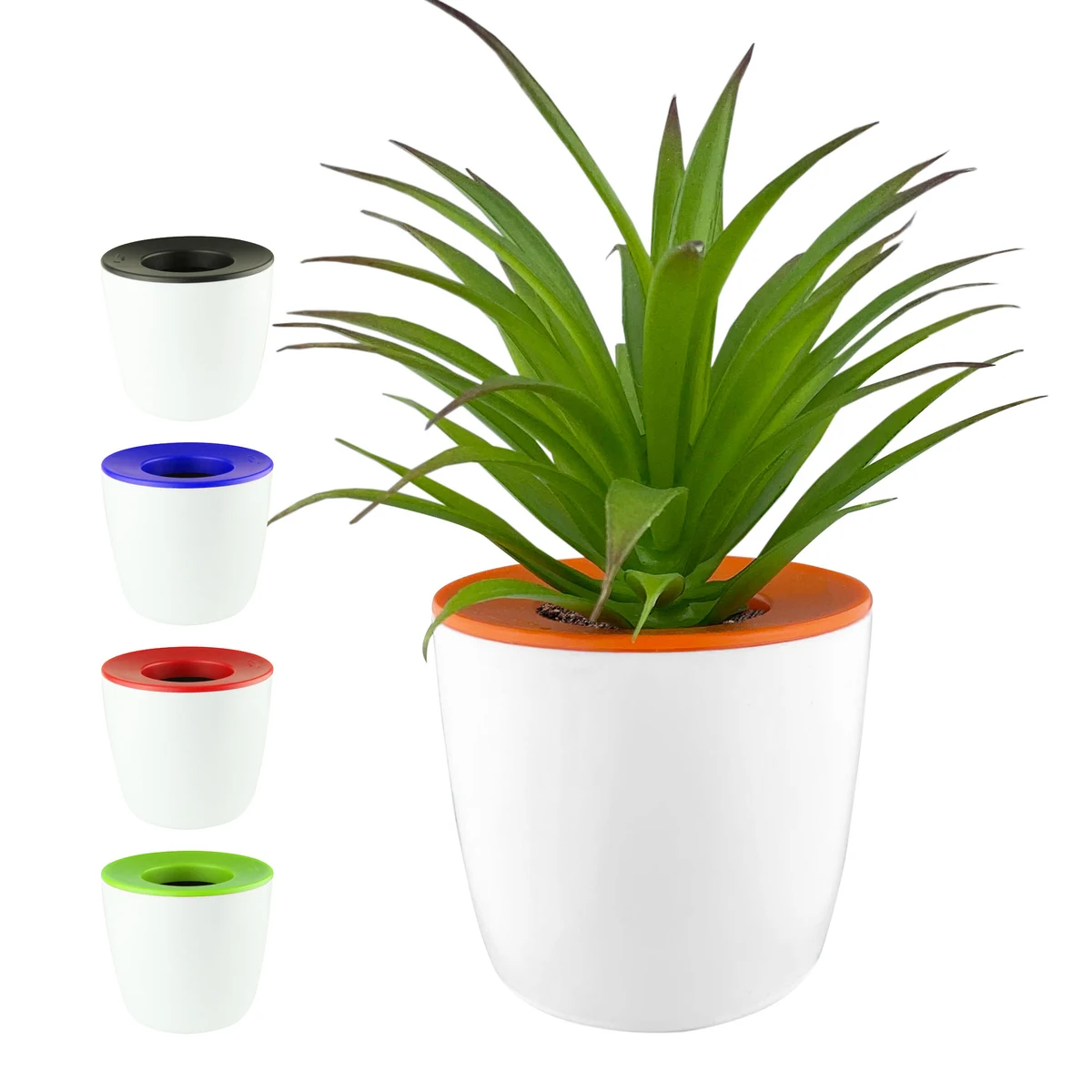Mini Desk Plant Pot 1