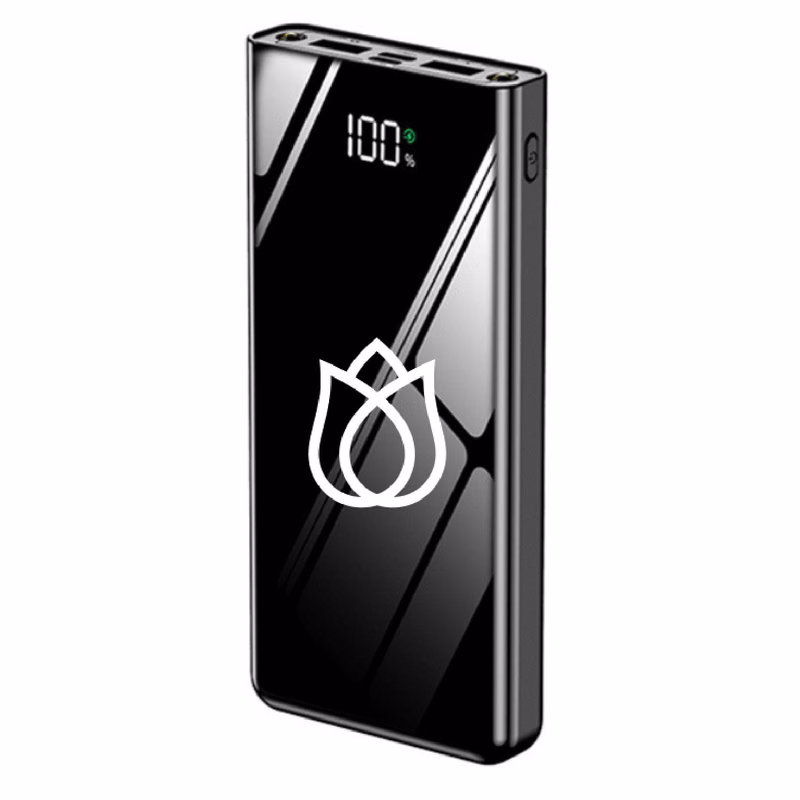 20000mAh power bank dual port full glass body