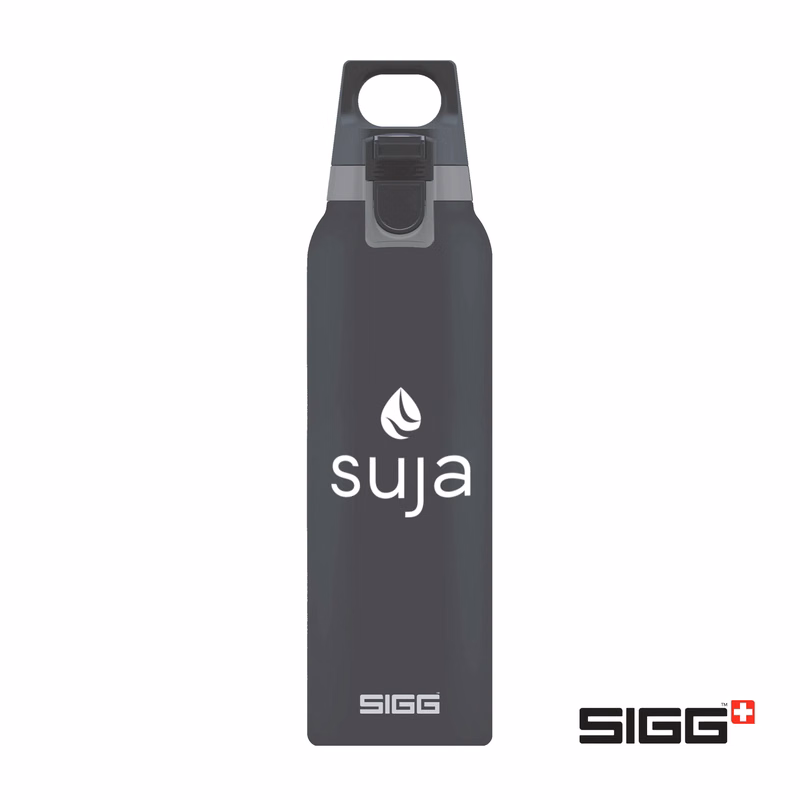 SIGG™ Hot & Cold One  Bottle - 17oz