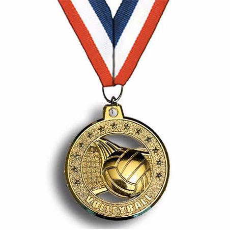 Medallion: 2" Circle Cut Out Volleyball Gold wit