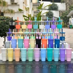 24oz Reusable Double Wall Cold Drinks Tumbler