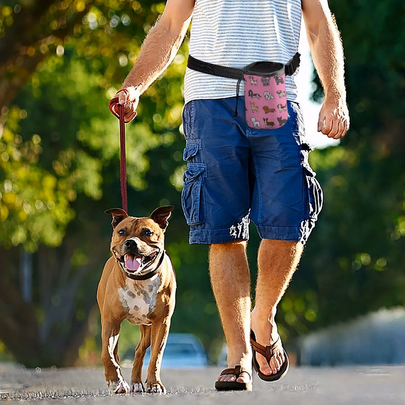 Polyester Dog Treat Training Pouch