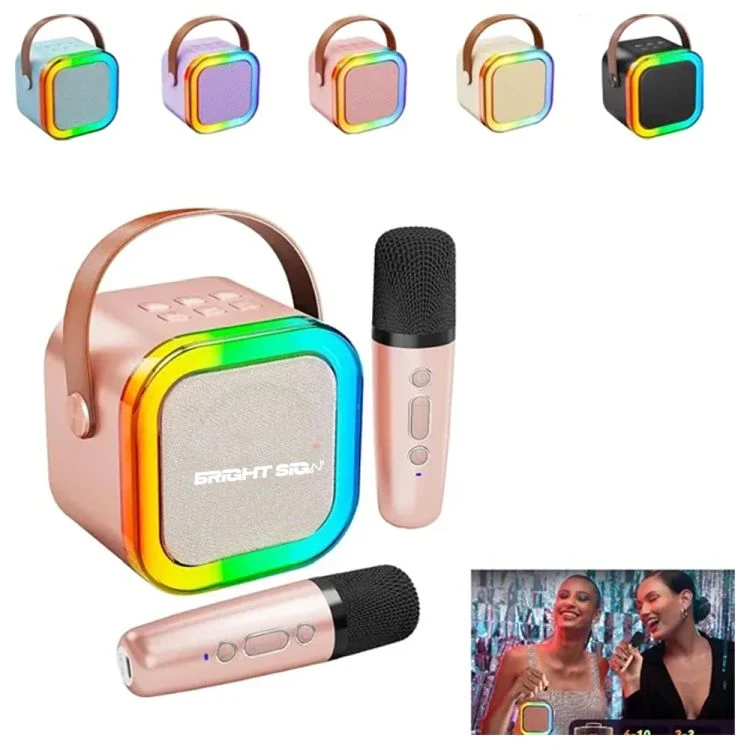 Portable Bluetooth Karaoke Machine 1