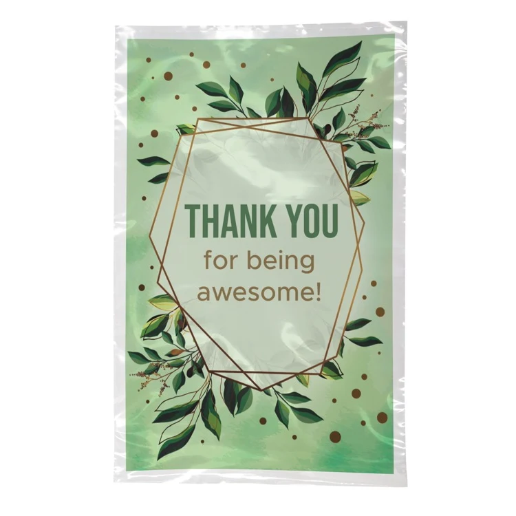 Digital Full Color 2-Sided Open Ended Clear Plastic Bag (6"x9") 1