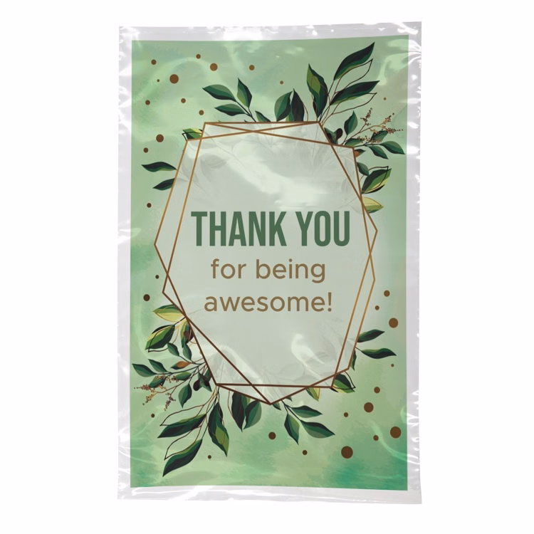Digital Full Color 2-Sided Open Ended Clear Plastic Bag (6"x9")