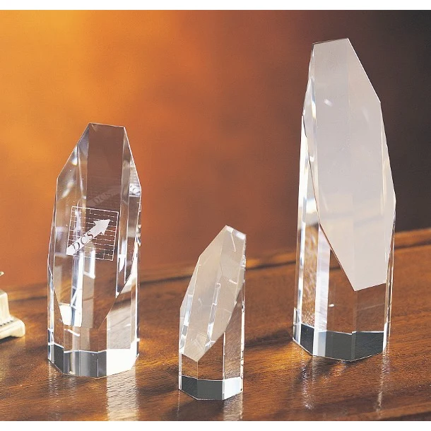 Contemporary Vistas Crystal Octagon Award 1