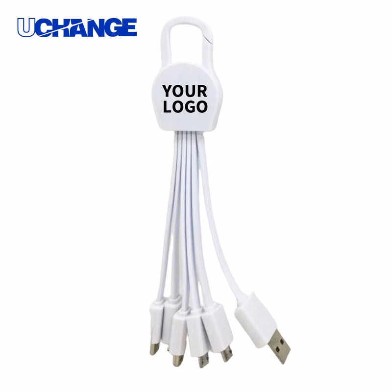 USB Charging Cable with Key Buckle