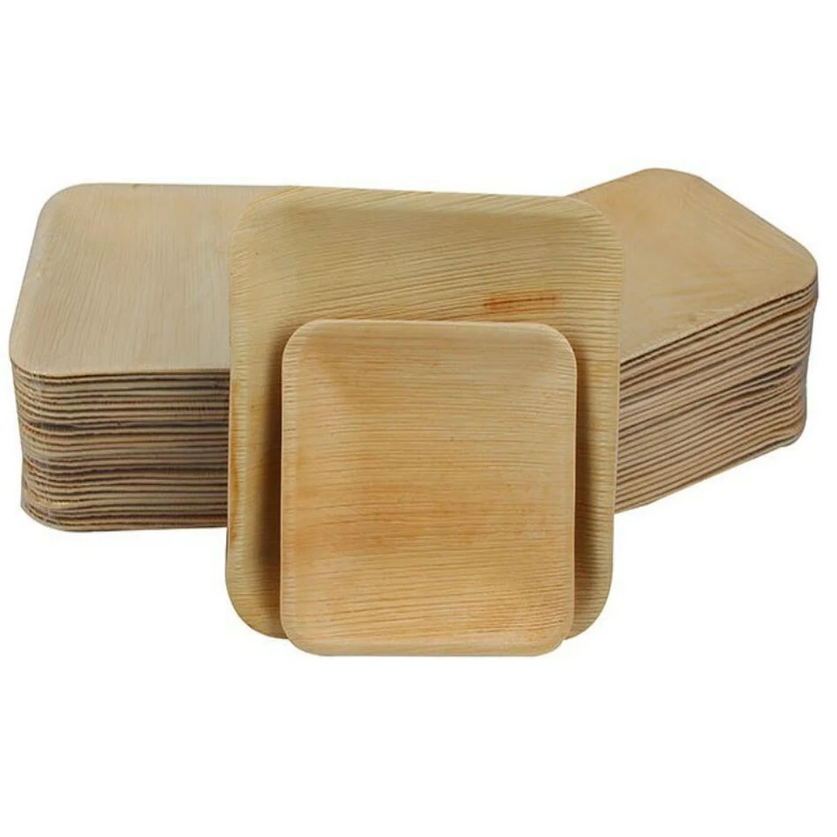 Palm Leaf Disposable Plates 1