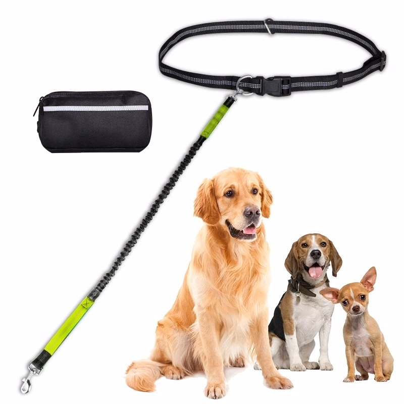 Hands Free Dog Leash for Running Walking Jogging & Hook